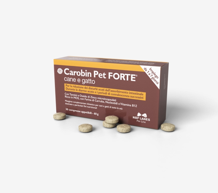 Carobin_Pet_Forte_CG_Tabletki_Szare-scaled.jpg