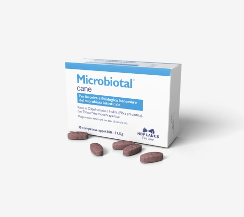 Microbiotal_C_S1_Szare-scaled.jpg