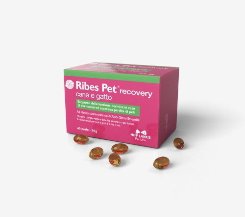 Ribes_Pet_CG_Szare-scaled.jpg