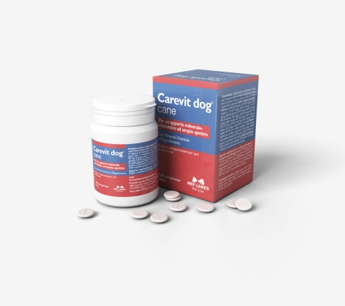 Carevit_Dog_C_Szare-scaled.jpg