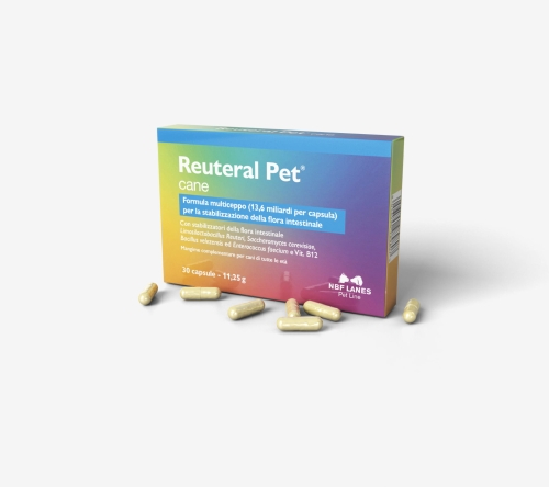 Reuteral_Pet_C-–-Szary-scaled.jpg