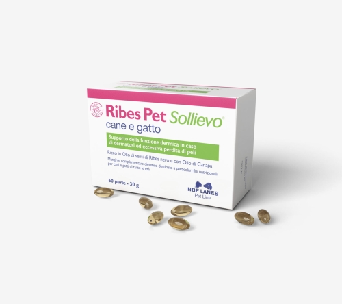 Ribes_Pet_Sollievo_CG_Szare-scaled.jpg