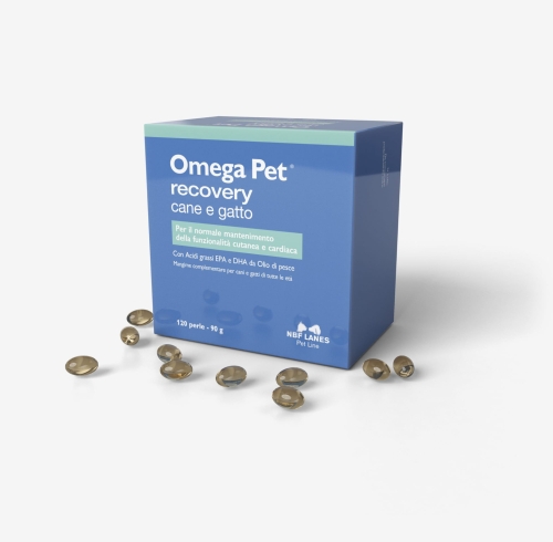 Omega_Pet_Recovery_CG-scaled.jpg