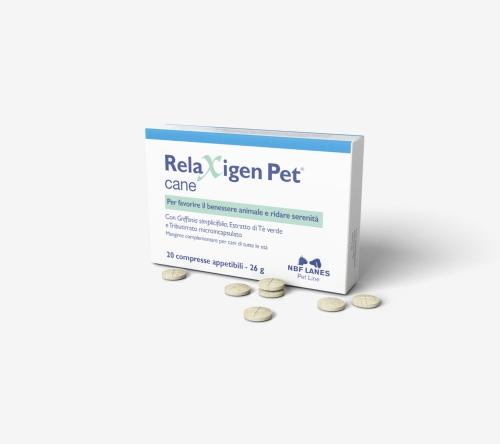 Relaxigen_Pet_C_Szare-scaled.jpg