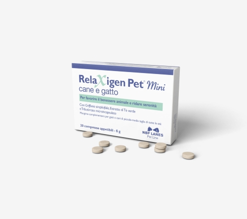 Relaxigen_Pet_Mini_CG_Szare-scaled.jpg