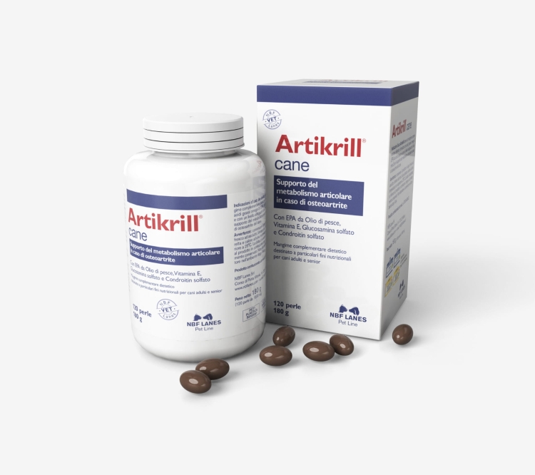 Artikrill_C_Szare-scaled.jpg