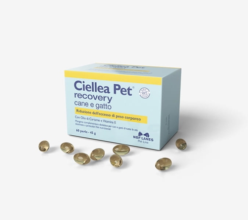 Ciella_Pet_CG_Szare-scaled-1.jpg