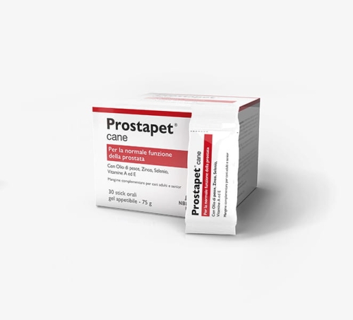 Prostapet-C_szare-tlo.jpg