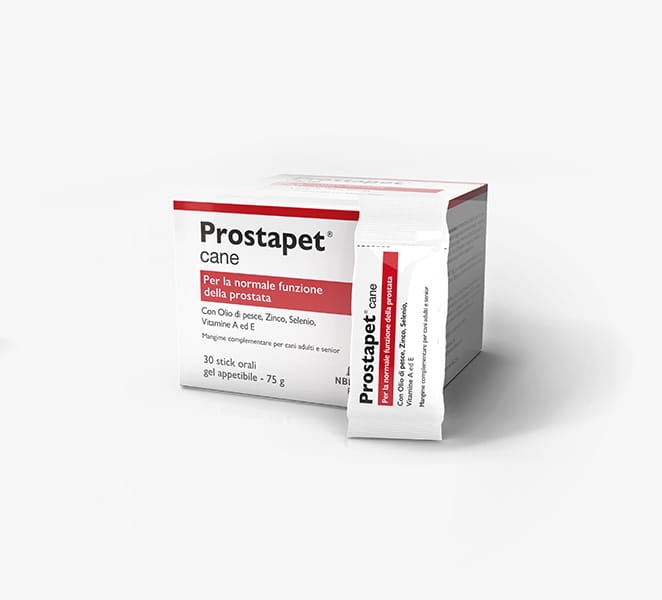 Prostapet-C_szare-tlo.jpg
