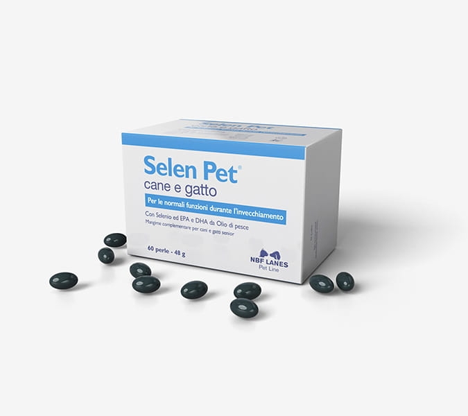 Selen_Pet_CG_Szare-scaled-1.jpg