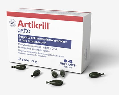 Artikrill_G_Szare-scaled-1.jpg