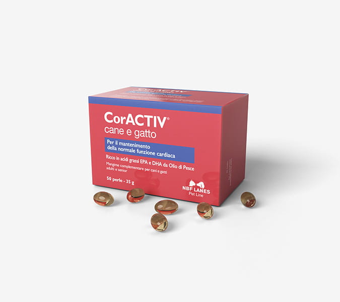 Coractiv_CG_Szare-scaled-1.jpg