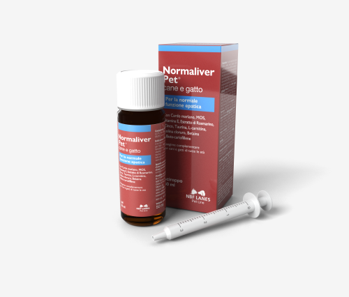 Normaliver-Pet-CG-szare-tlo.png