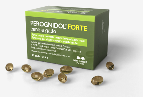 perognidol-kapsulki-cg-www.png