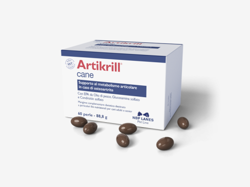 Artikrill-cane-60.png