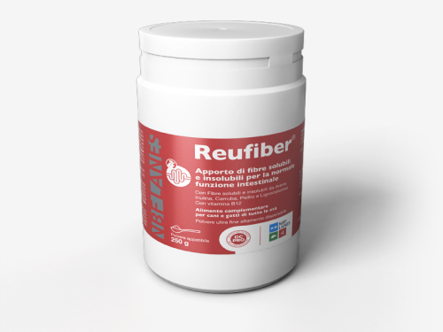 reufiber-www.png