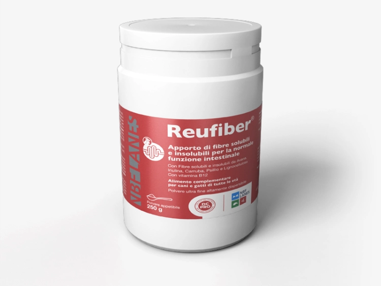 reufiber-www.png