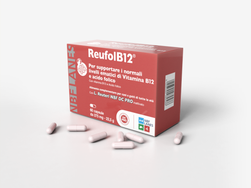 reufolB12-www.png